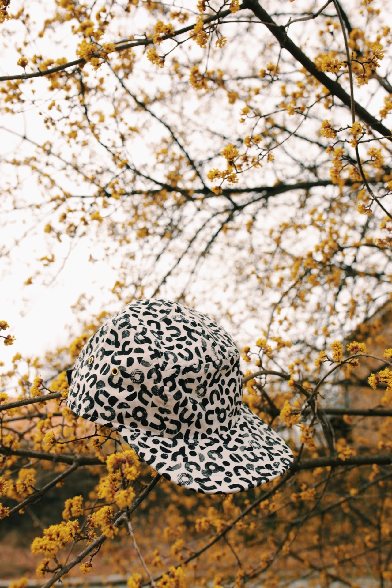 Shapes print 5-panel hat