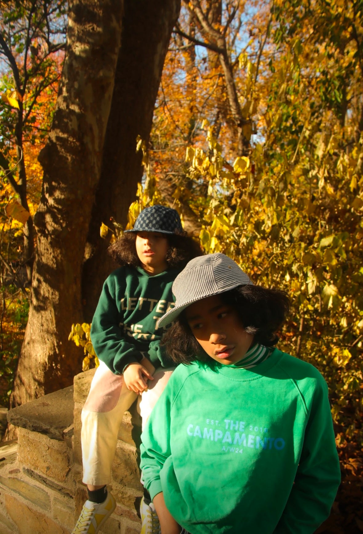 Railroad stripe 5-panel hat